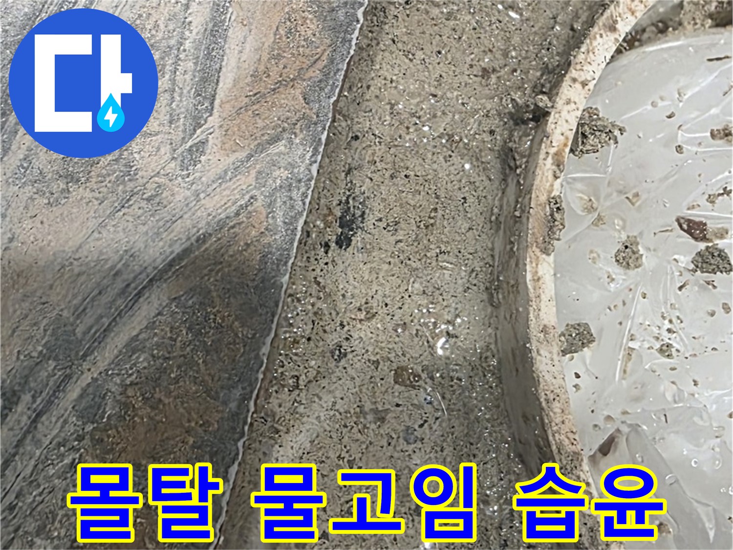 유가 주변 몰탈 물고임 - 지속 습윤 - 누수 의심