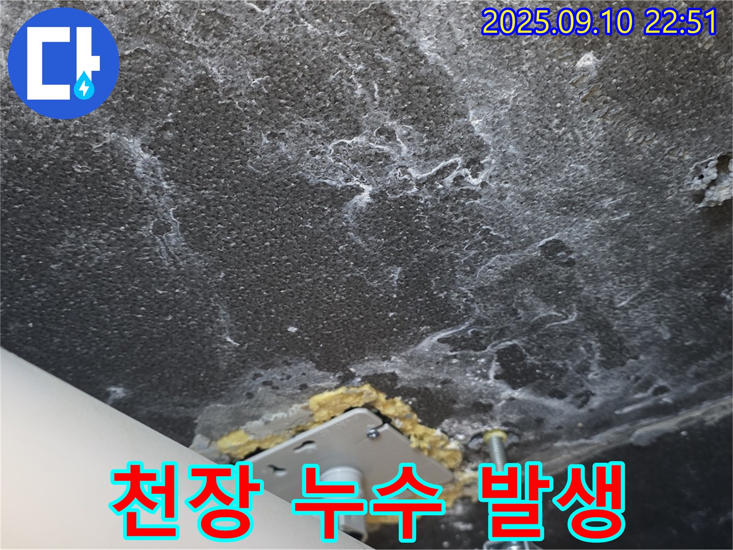 천장에서 누수가 발생하는 모습 사진 - 누수의 직접적인 증거를 보여줍니다.