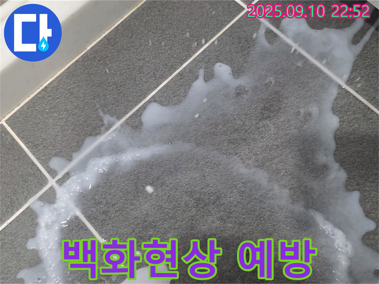 파주 동패동 아파트 타일 백화현상 해결 및 누수 예방 - 누수 탐지부터 백화현상 제거까지 모든 과정을 상세히 보여드립니다.