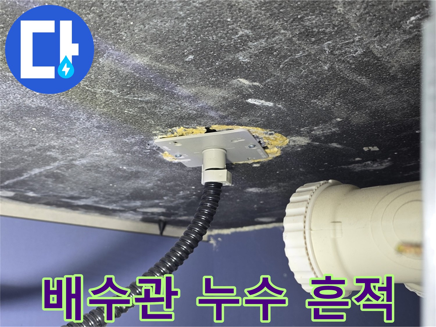 파주시 동패동 배수관 누수 - 배수관 연결부 주변의 누수 흔적을 확인하고 문제 원인 분석