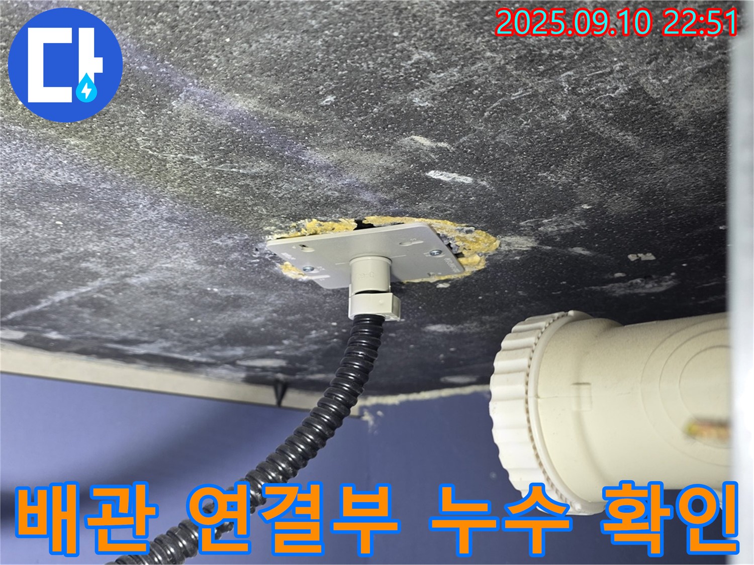파주시 동패동 아파트 누수 현장 - 배관 연결 부위에서 누수 흔적 발견 - 정확한 진단을 위해 꼼꼼히 확인
