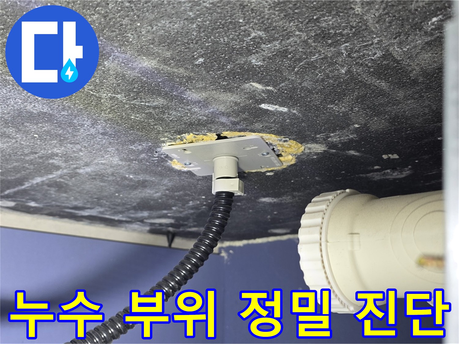 파주시 동패동 아파트 배수관 누수 - 누수 부위를 정밀하게 진단하여 정확한 원인 파악