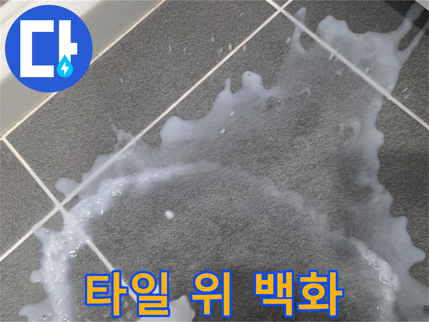 파주시 동패동 운정어반프라임 1201동 아파트 타일 위 백화 현상 - 긴급 누수 진단으로 원인을 찾습니다.