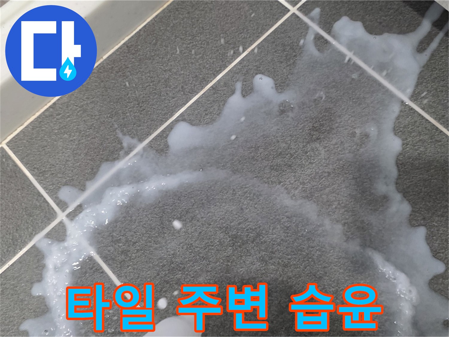 파주시 동패동 운정어반프라임 1201동 아파트 타일 주변 습윤 - 초기 누수 해결, 책임감 있는 시공으로 마무리