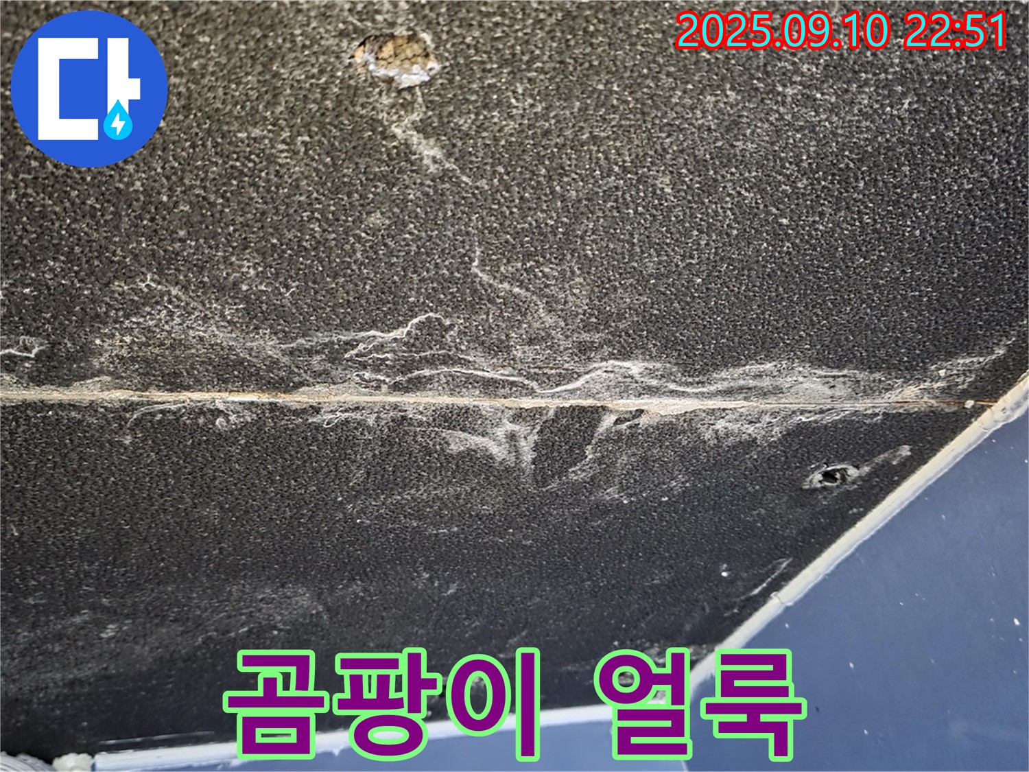 파주시 동패동 운정어반프라임 아파트 천장 - 곰팡이 얼룩이 심각한 천장 누수 현장입니다.
