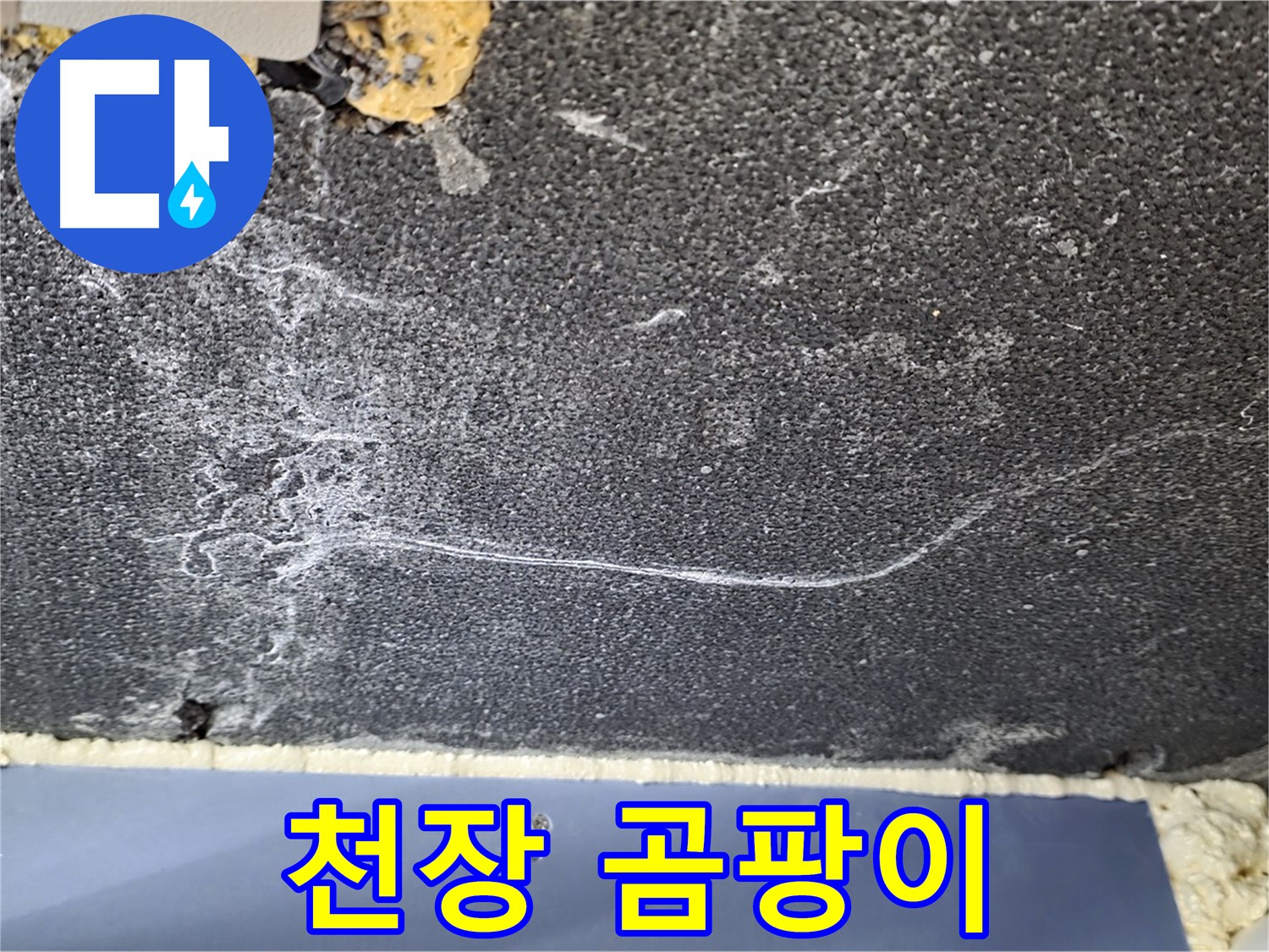 파주시 동패동 운정어반프라임 아파트 천장 누수 - 곰팡이 발생으로 인한 누수 의심