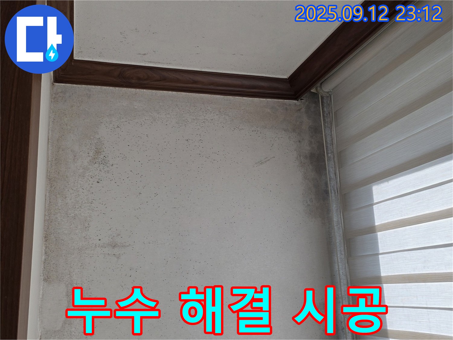 노원구 중계동 현대5차 211동 아파트 누수 현장 - 곰팡이 OUT, 누수 해결 전문가의 완벽 시공!