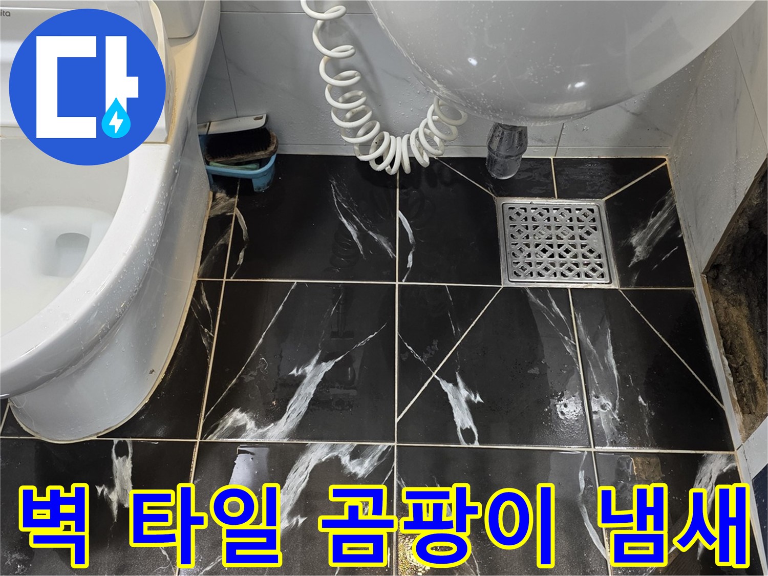 노원구 현대5차 욕실 벽 타일 틈새 검은 곰팡이 - 심한 냄새 동반