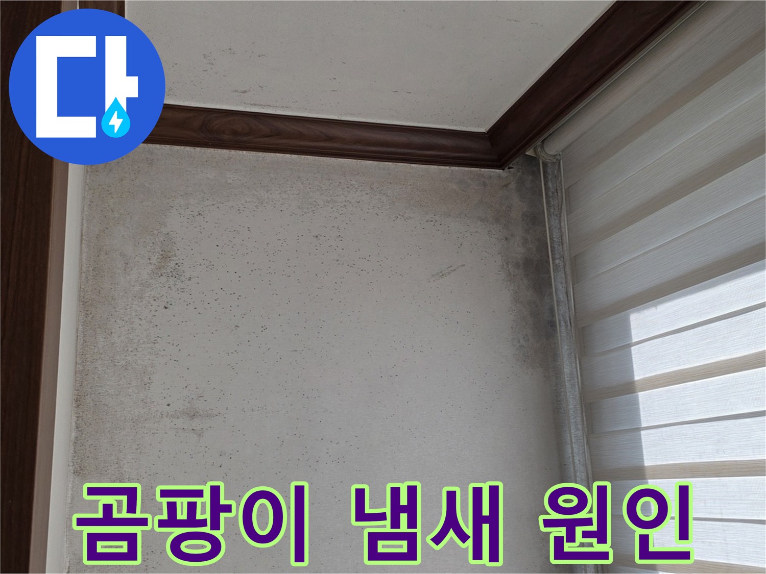 중계2동 현대5차 아파트 벽 곰팡이 - 곰팡이 냄새 원인 진단 및 해결
