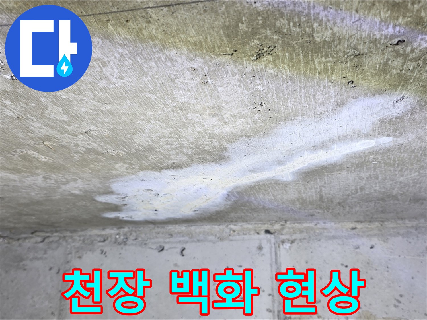 중계2동 현대5차 아파트 천장 백화 현상 - 누수 의심 징후