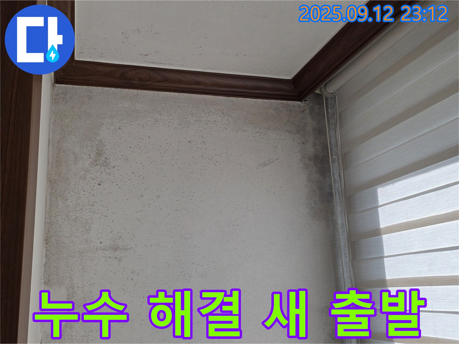 중계동 현대5차 211동 아파트 누수 현장 - 곰팡이와의 작별을 고하고 누수 해결 후 새 출발을 응원합니다.