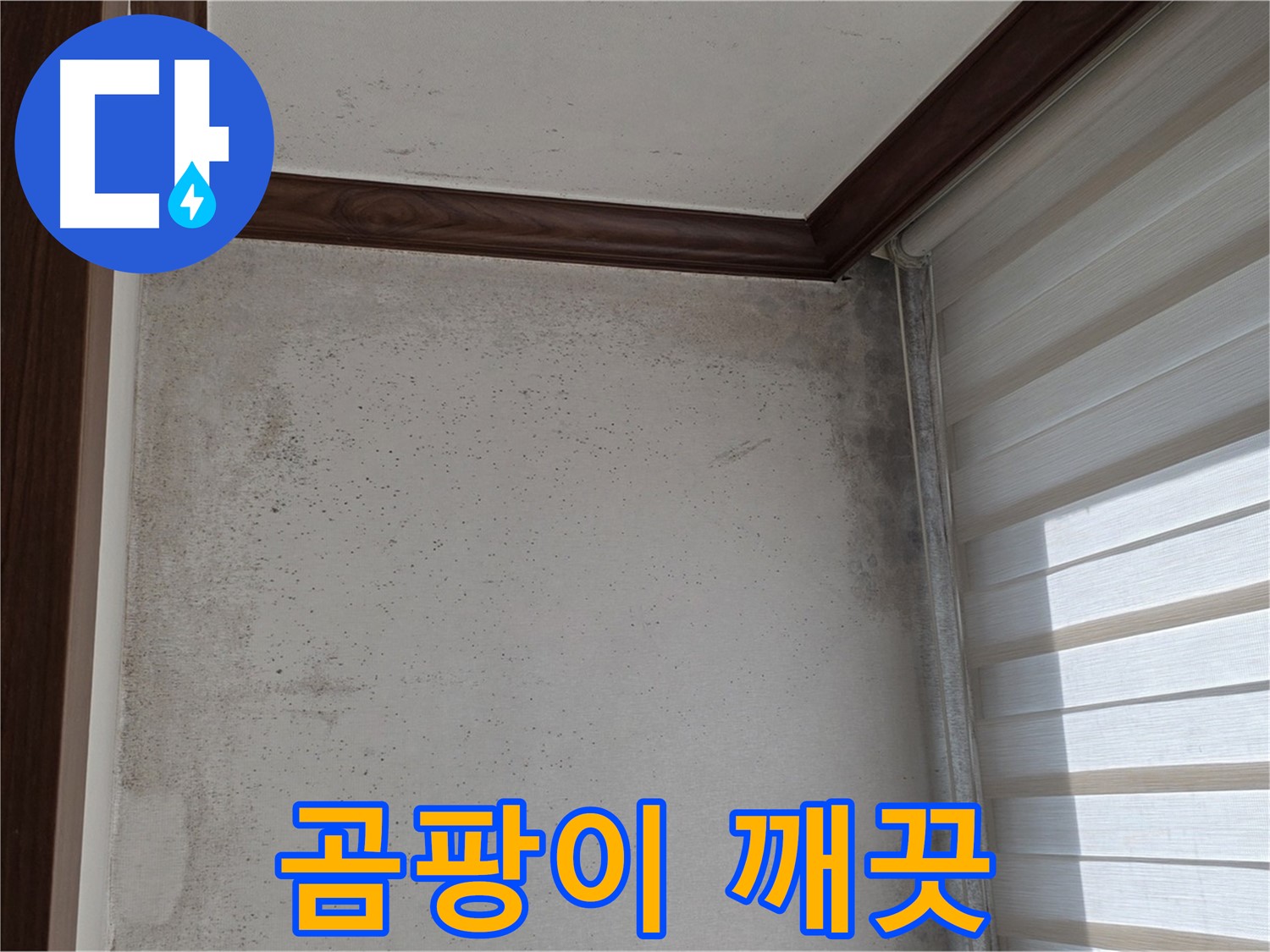 중계동 현대5차 곰팡이 누수 - 곰팡이 없는 깨끗한 집으로 변신