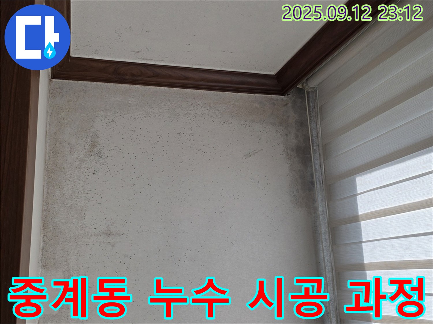 중계동 현대5차 아파트 누수 문제 - 곰팡이 문제 해결을 위한 완벽한 시공 과정을 공개합니다.