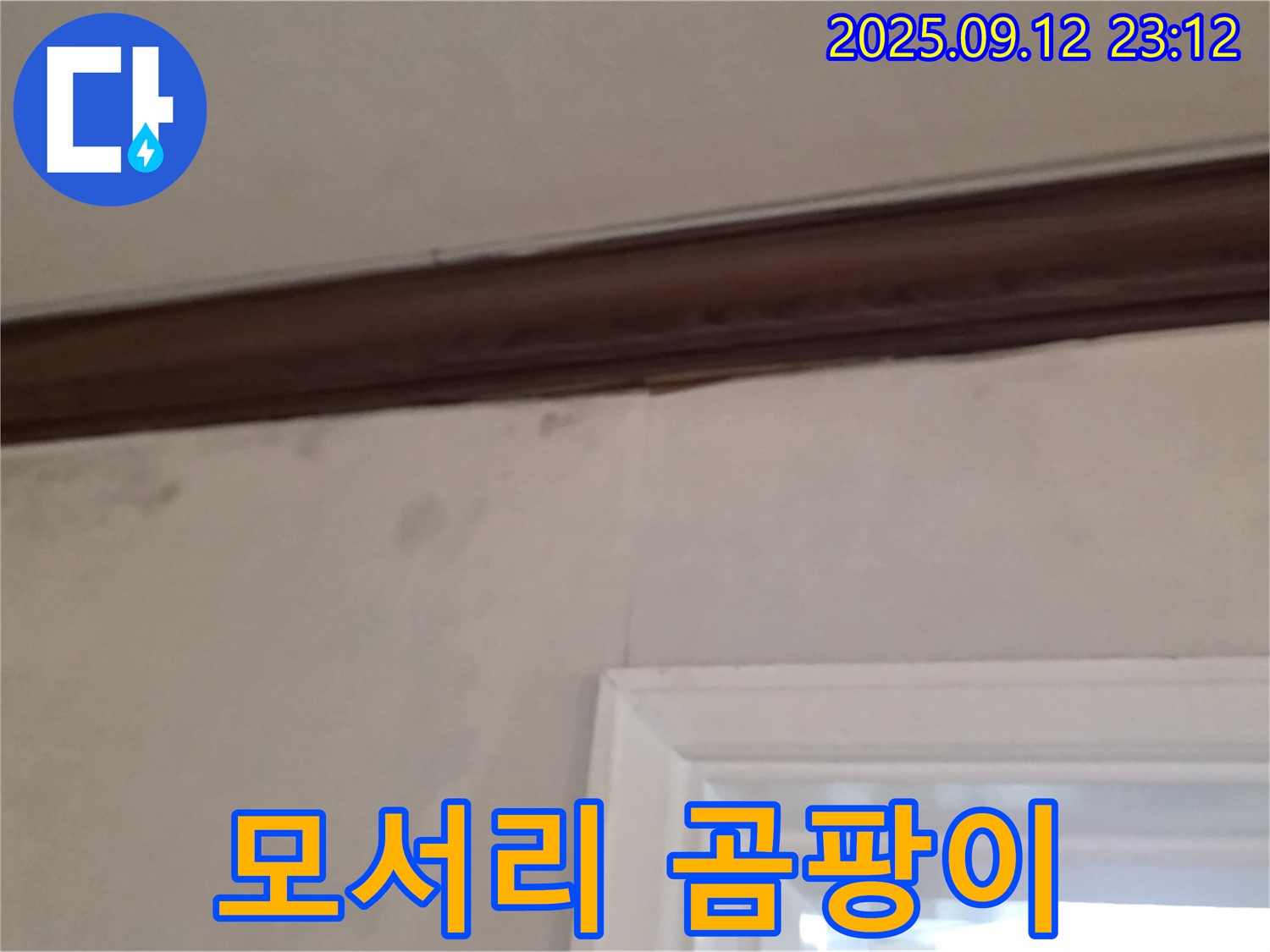 중계동 현대5차 아파트 벽 누수 - 곰팡이 핀 모서리