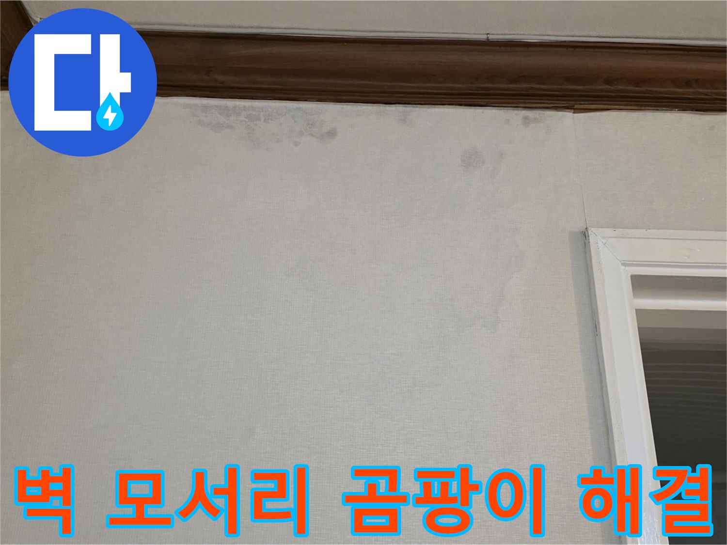 중계동 현대5차 아파트 벽 모서리 곰팡이 - 확실한 누수 해결 및 곰팡이 제거 보장