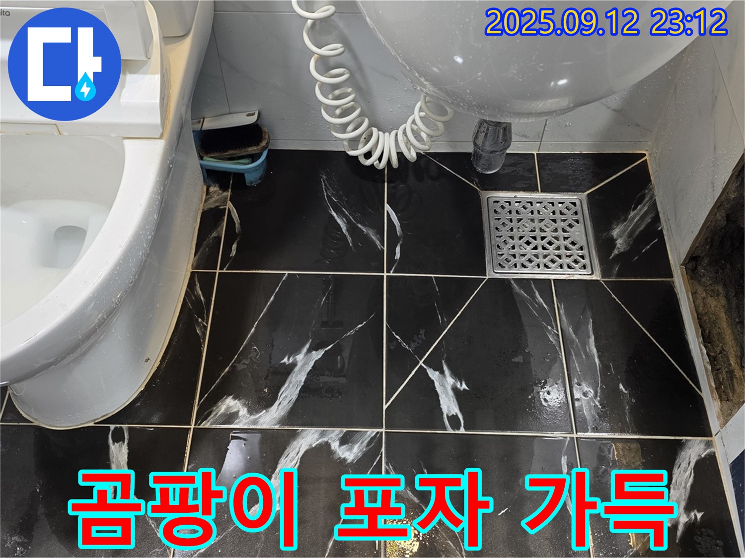 중계동 현대5차 아파트 욕실 - 벽 타일 안쪽 곰팡이 포자 가득한 상태