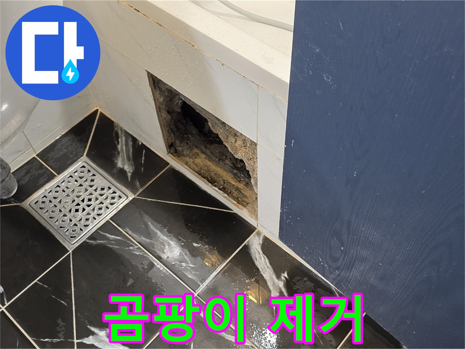 중계동 현대5차 아파트 - 욕실 점검구 곰팡이 제거 작업