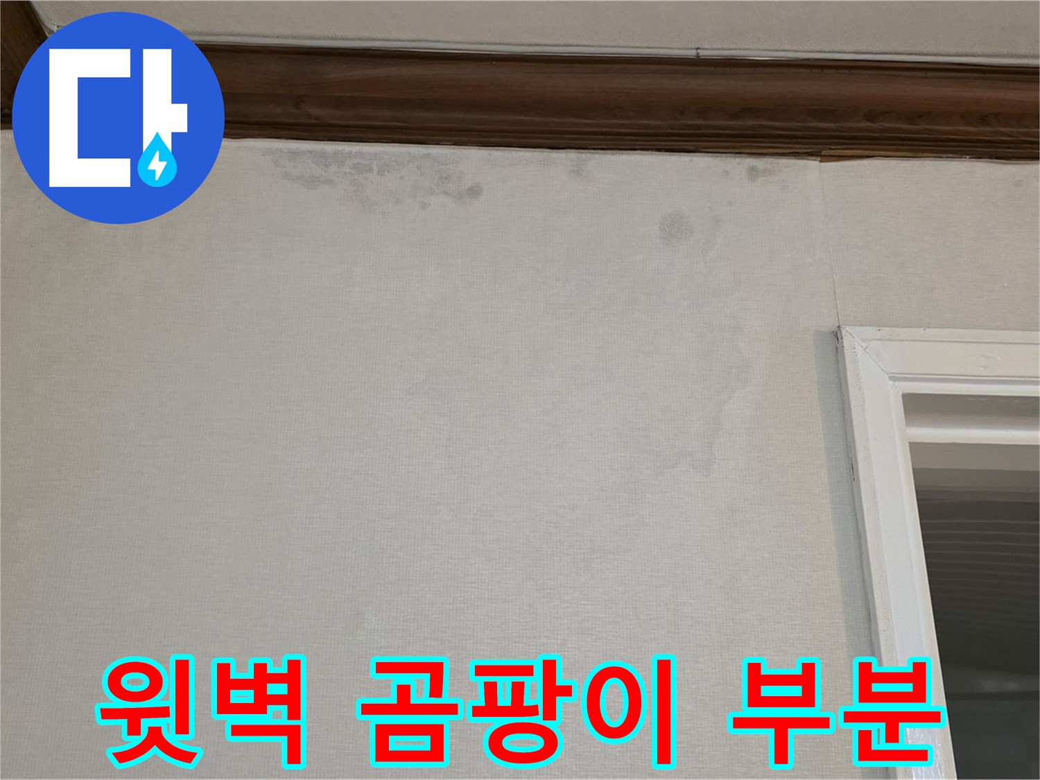 중계동 현대5차 아파트 윗벽 곰팡이 - 부분 공사로 비용 절감