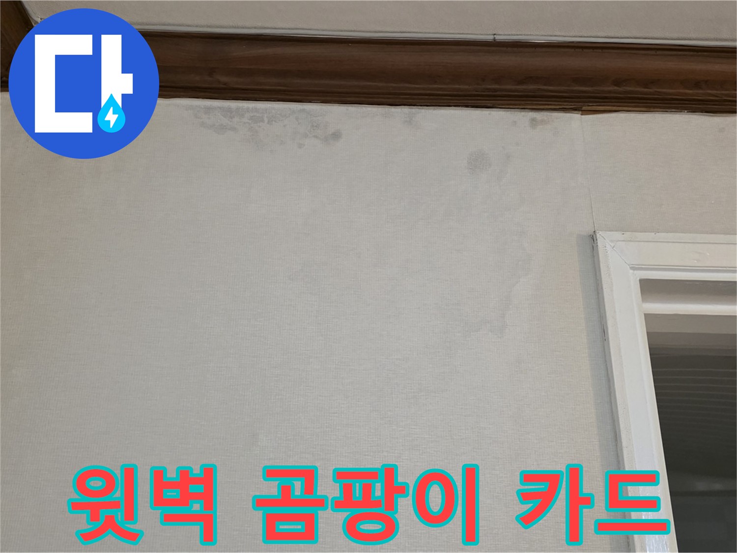 중계동 현대5차 아파트 윗벽 곰팡이 - 합리적 가격 - 카드 결제 OK