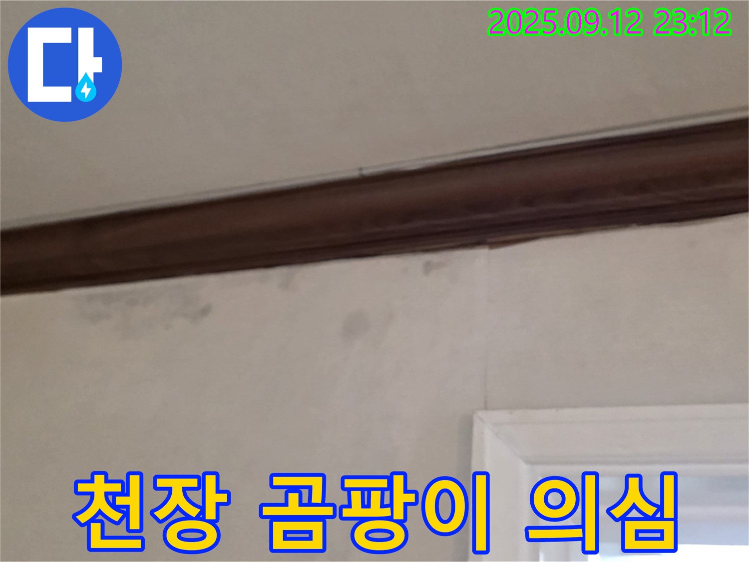 중계동 현대5차 아파트 천장 누수 의심 - 곰팡이 냄새와 누수 흔적 긴급 점검