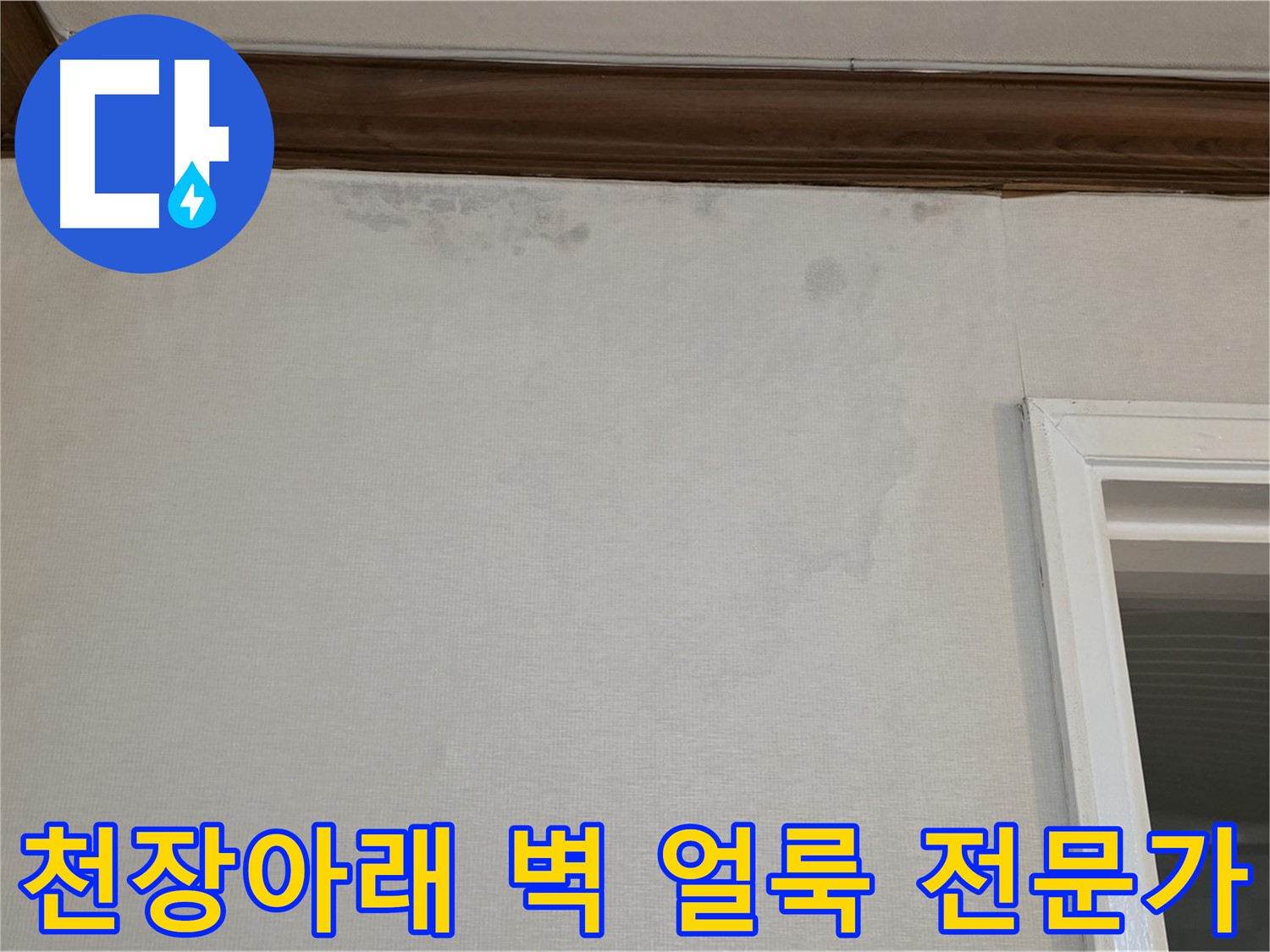 중계동 현대5차 아파트 천장아래 벽 얼룩 - 누수 문제 해결 전문가의 선택