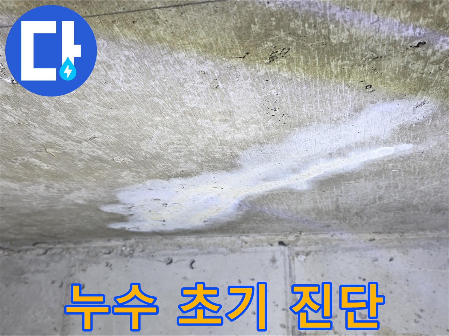 현대5차 211동 천장 누수 - 초기 진단 중요 - 골든 타임