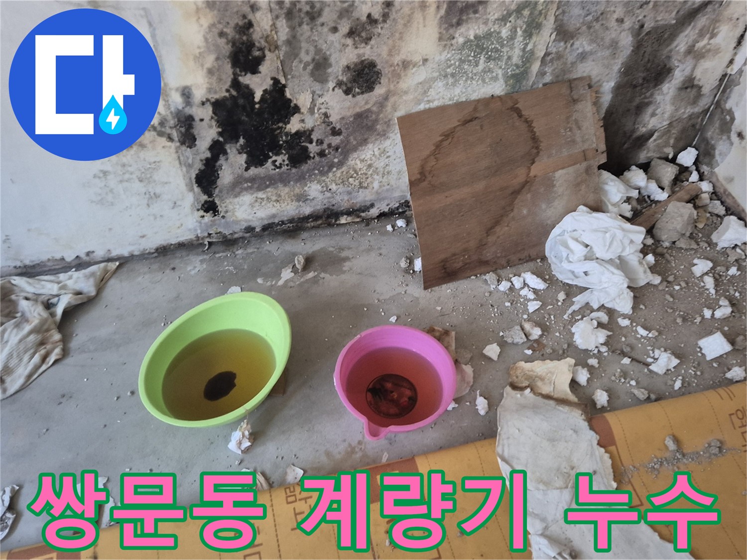 도봉구 쌍문동 덕릉로54가길 누수 현장 - 수도 계량기 주변이 젖어있고 바닥에 물이 고여있는 모습 - 수도 요금 폭탄의 주범인 계량기 누수입니다.