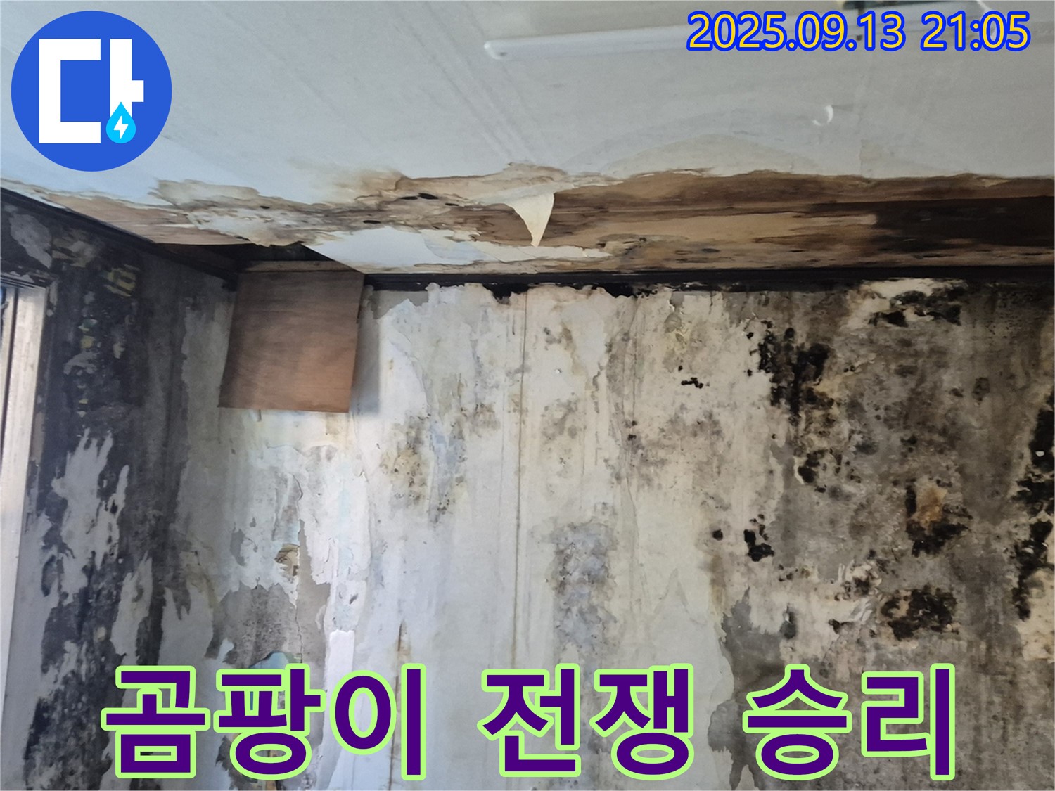 도봉구 창동 주택 - 곰팡이와의 전쟁에서 승리하고 쾌적한 보금자리를 되찾은 모습을 담은 이미지입니다.