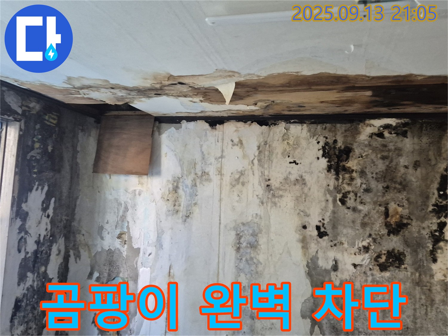 도봉구 창동 주택의 곰팡이 문제 - 곰팡이를 완벽 차단하고 안심 주거 공간을 확보한 모습을 보여주는 이미지입니다.