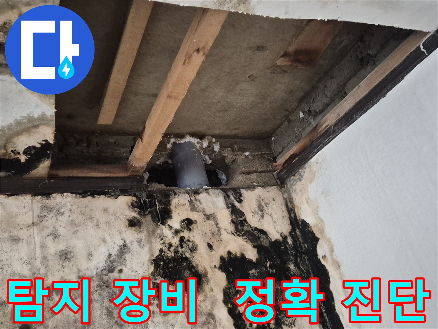 최첨단 누수 탐지 장비 - 정확한 누수 지점 진단