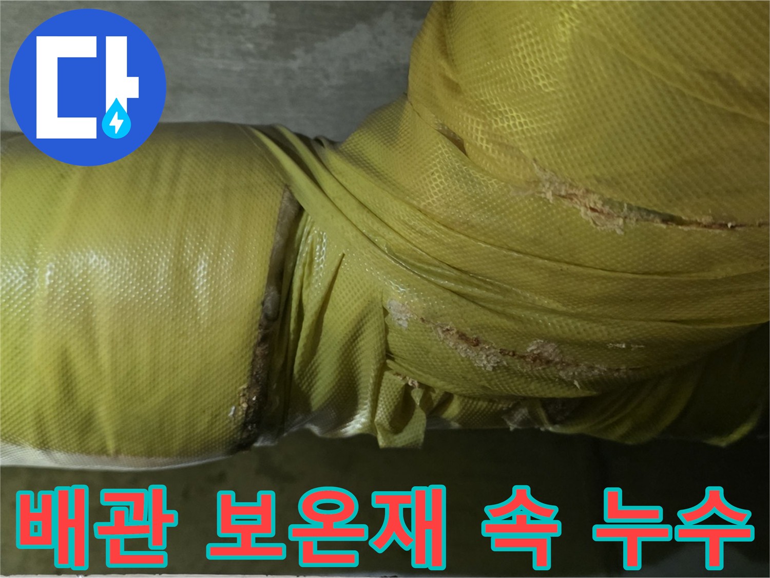 보온재에 가려진 배관 상태 확인 - 누수 탐지의 첫걸음