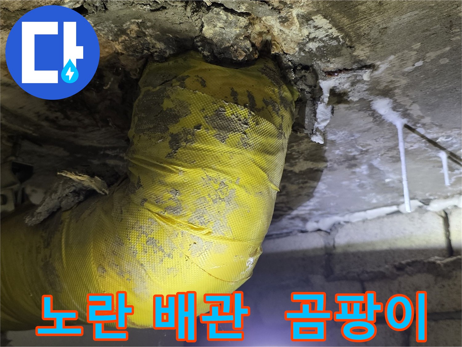 노란 배관의 저주, 곰팡이와 악취 - 신사동 새절역 인근 누수 긴급 해결