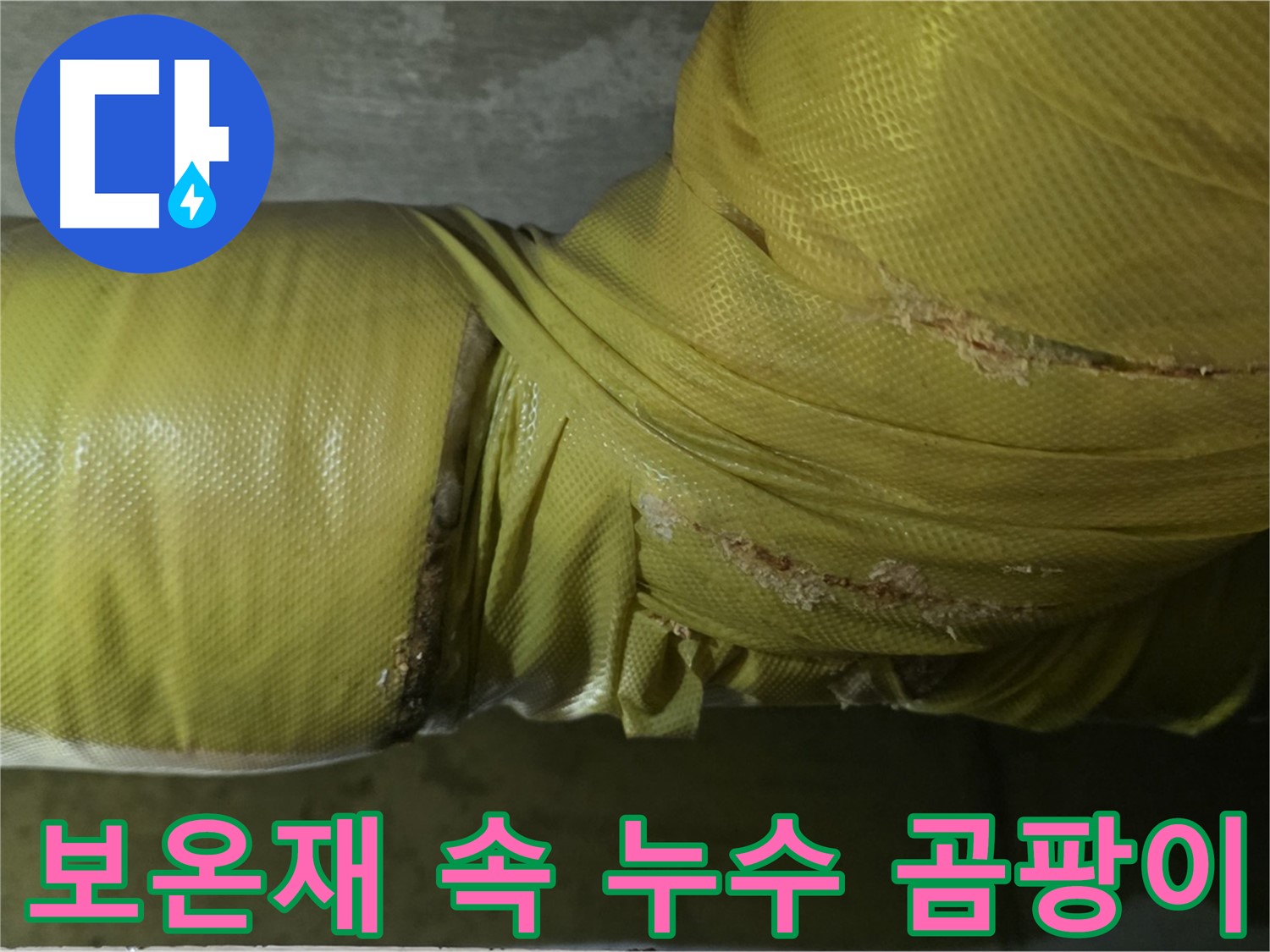 배관 보온재 속 누수 - 벽지 곰팡이 발생의 숨겨진 원인, 쾌적한 환경을 위해 해결해야 합니다.