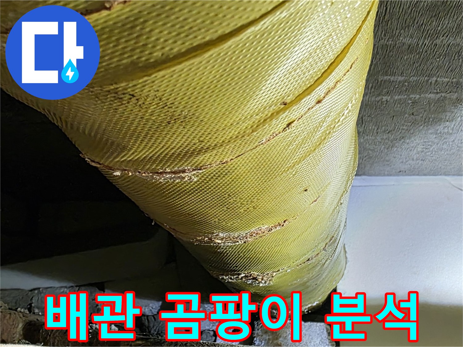 배관 주변 곰팡이 - 누수 의심 - 곰팡이 제거와 누수 해결이 필요한 배관 사진
