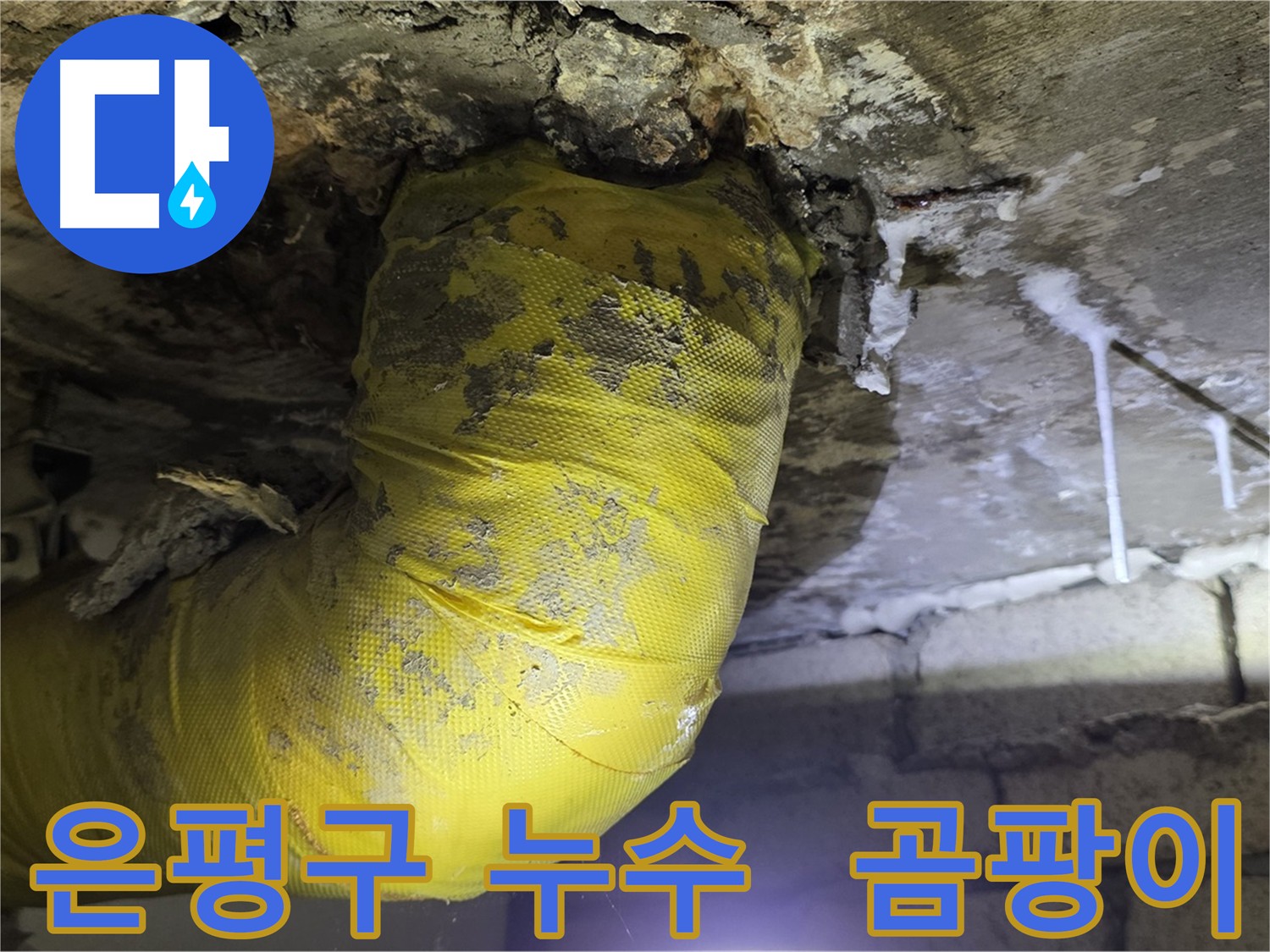 누수와 곰팡이 문제의 근본적인 해결 - 은평구 신사동 누수 현장