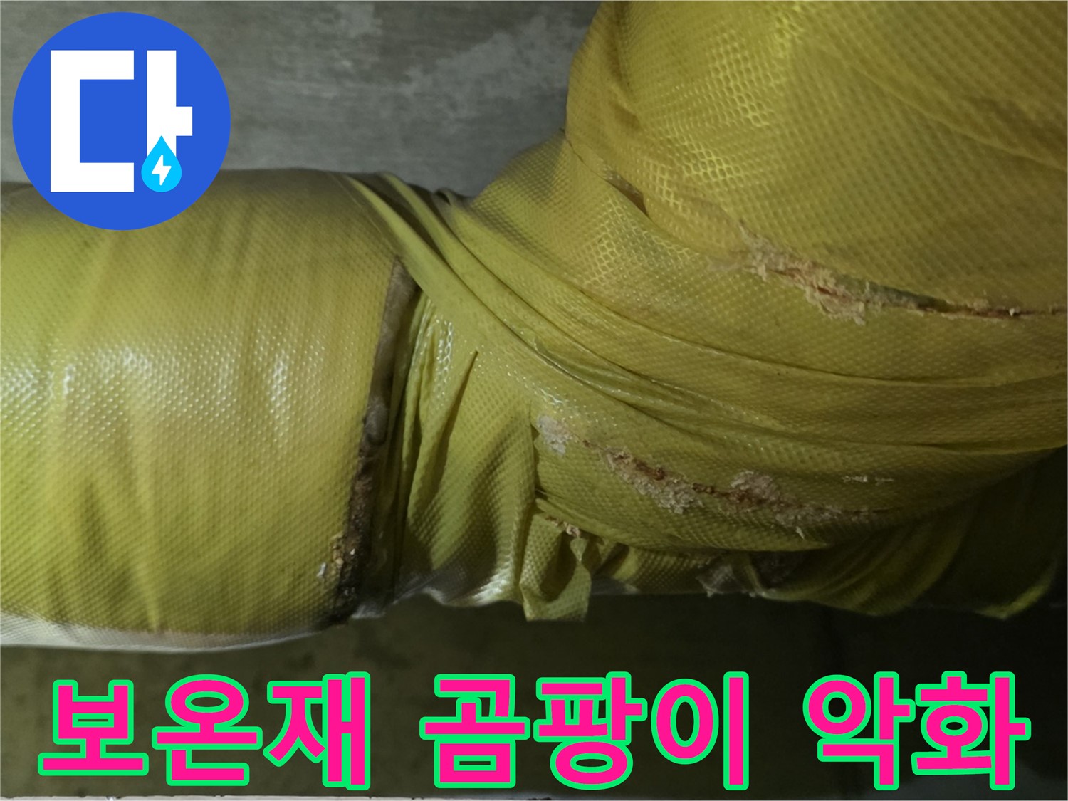 보온재 속 곰팡이 - 실내 공기 질 악화, 건강 문제 유발