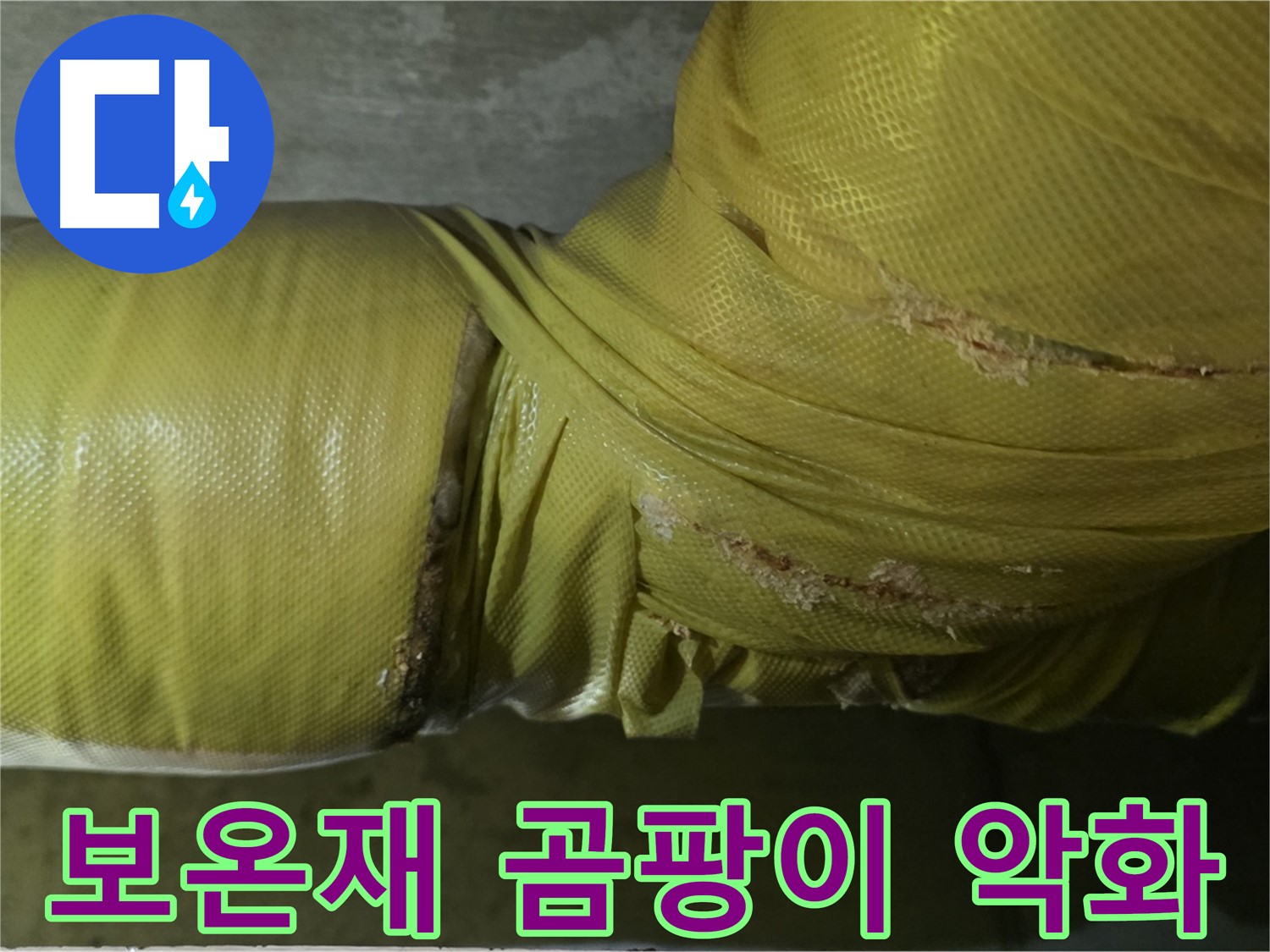 보온재 속 곰팡이 - 심각한 실내 공기 질 악화, 건강 문제 유발, 전문적인 케어가 시급합니다.