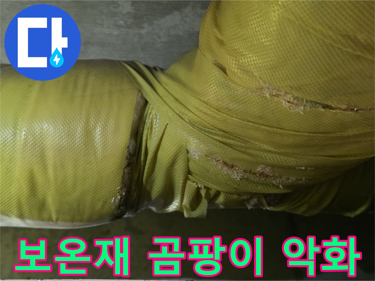 보온재 속 곰팡이 - 심각한 실내 공기 질 악화, 건강 문제 유발, 전문적인 케어가 필요합니다.