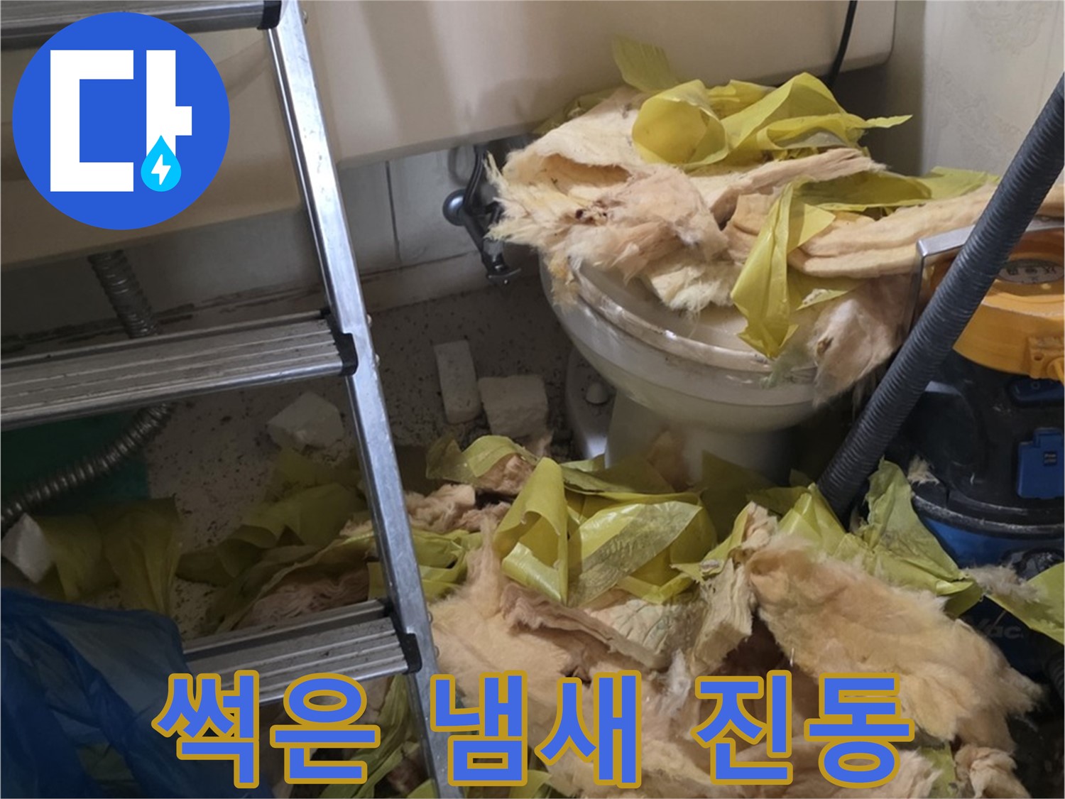 새절 누수 현장 - 곰팡이와 습기에 젖은 보온재, 악취 - 건강 위협