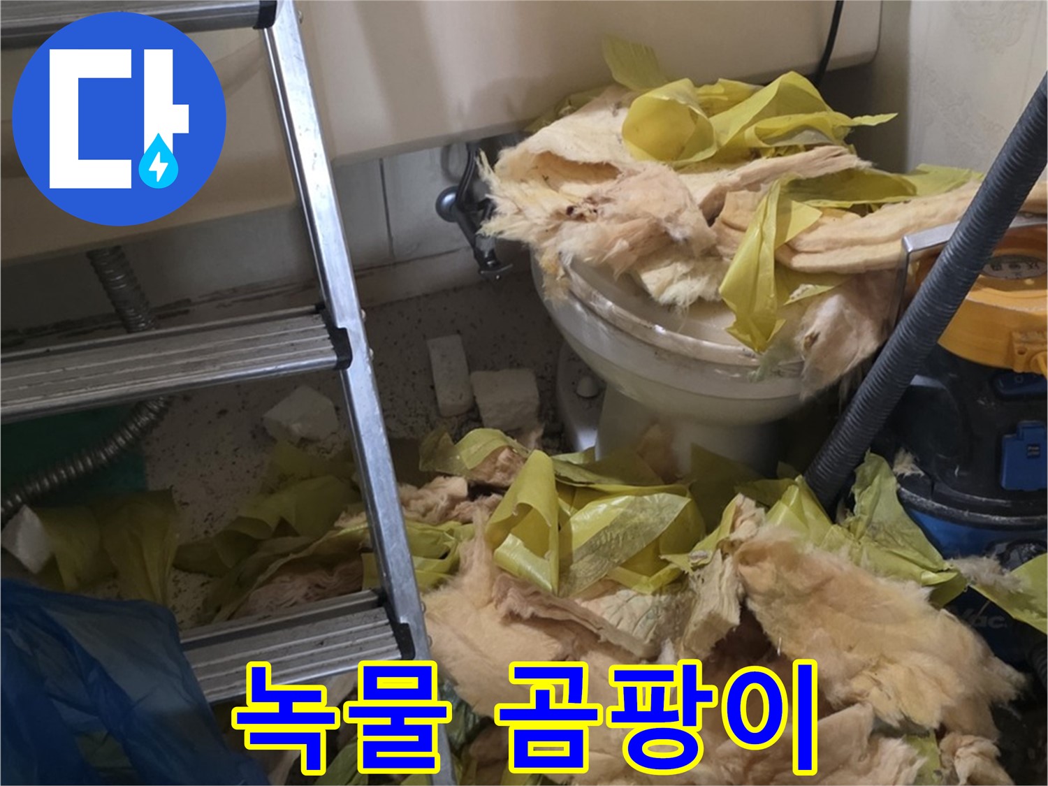새절 누수 현장 - 녹물과 곰팡이로 오염된 배관 - 수질 오염과 건강 위협