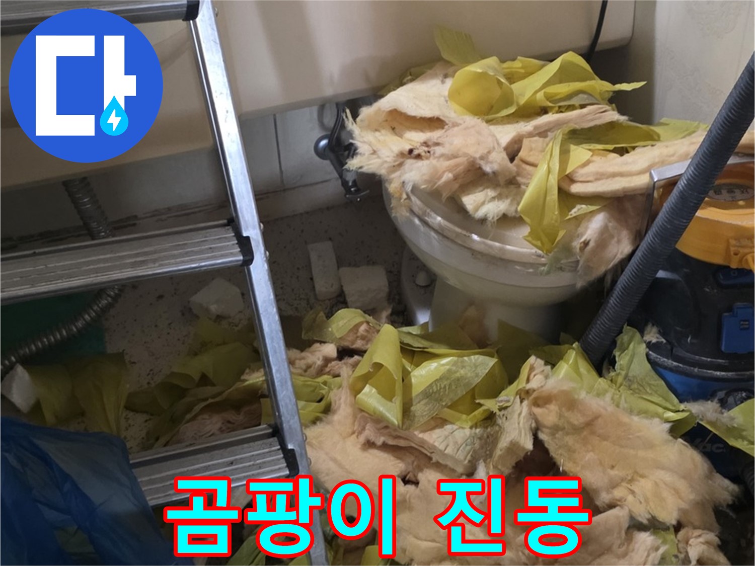 새절 누수 현장 - 물이 뚝뚝 떨어지는 배관, 곰팡이 냄새 진동 - 건강에 최악
