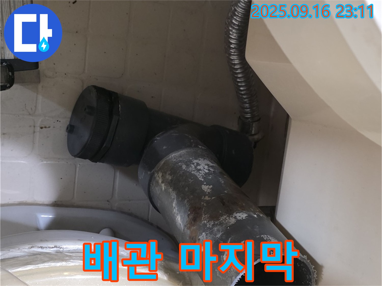 새절역 현대아파트 - 낡은 변기 배관의 마지막 여정 - 은평구 신사동 누수