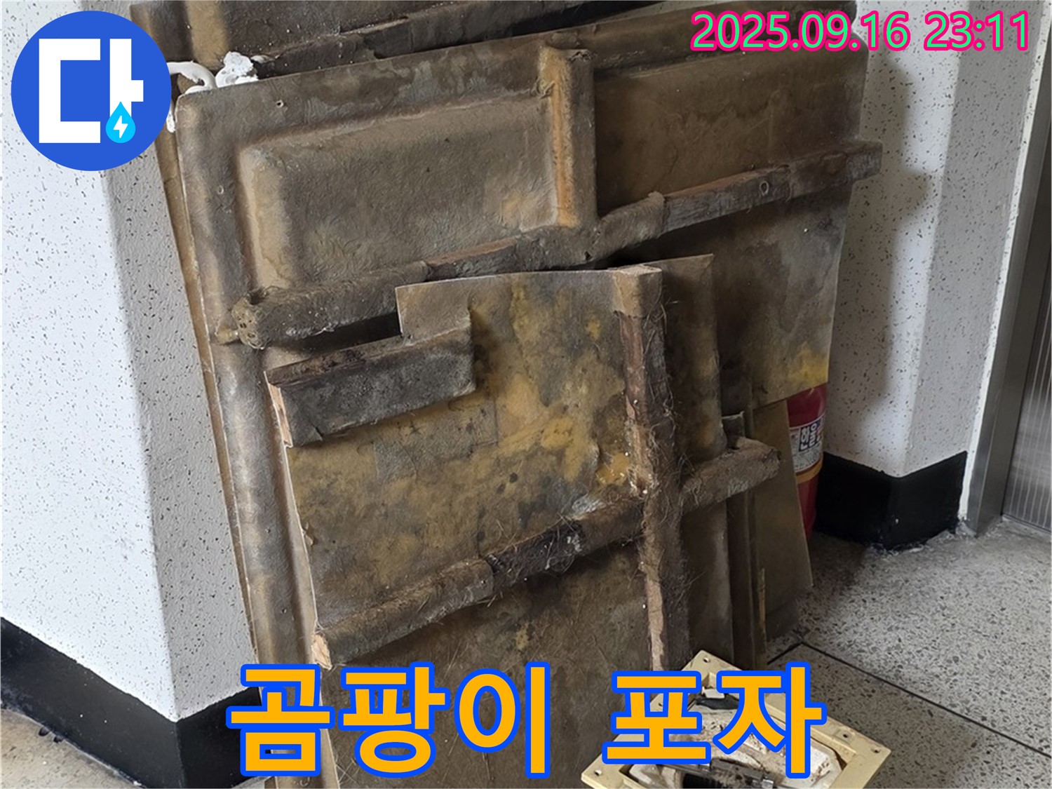 새절역 현대아파트 누수 - 곰팡이 포자가 가득한 폐기될 텍스와 조명