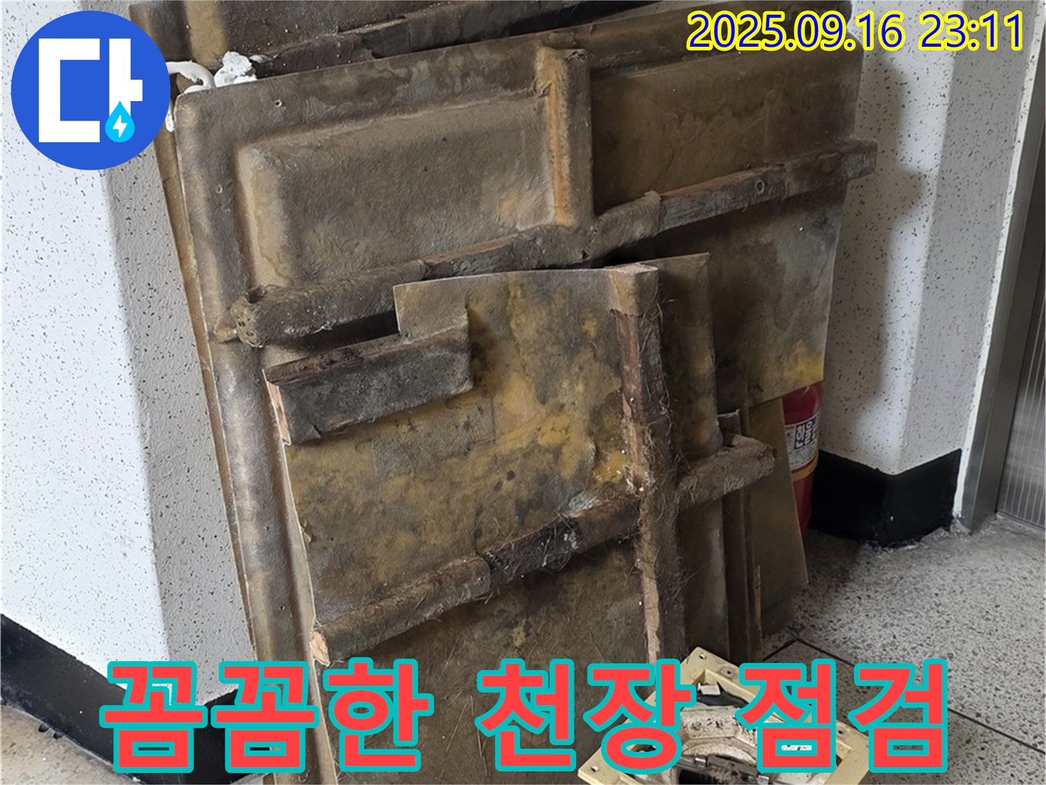 새절역 현대아파트 누수 - 텍스 제거 후 꼼꼼하게 천장을 점검하는 모습