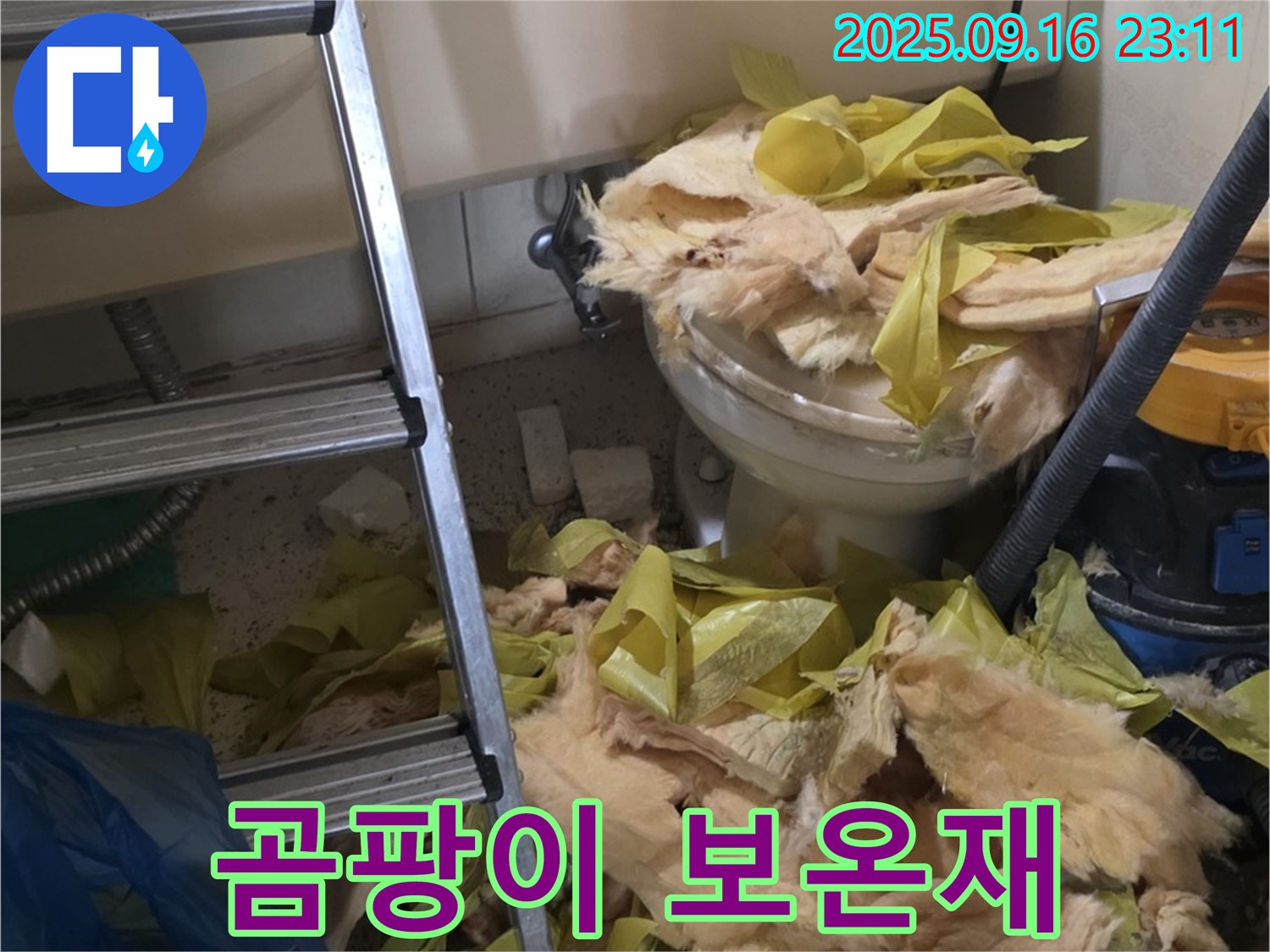 새절역 현대아파트 누수 현장 - 곰팡이로 뒤덮인 보온재의 실체입니다 - 누수의 원인이 여기에 있었네요!