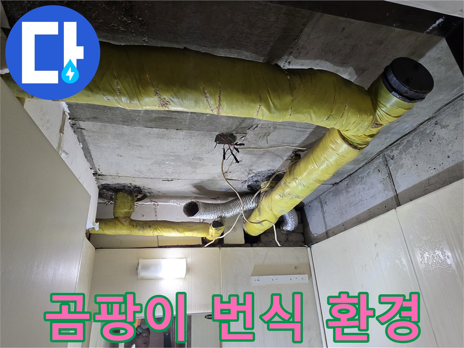 새절역 현대아파트 - 습기를 머금은 보온재, 곰팡이 번식