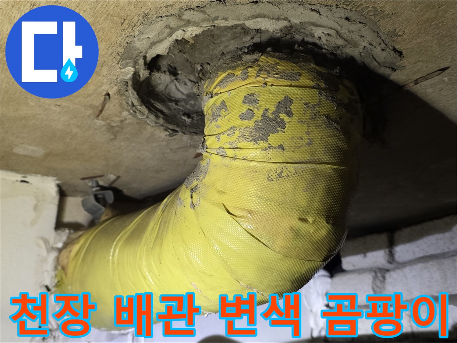 새절역 현대아파트 - 천장 배관 변색 - 곰팡이, 내부 오염 심각