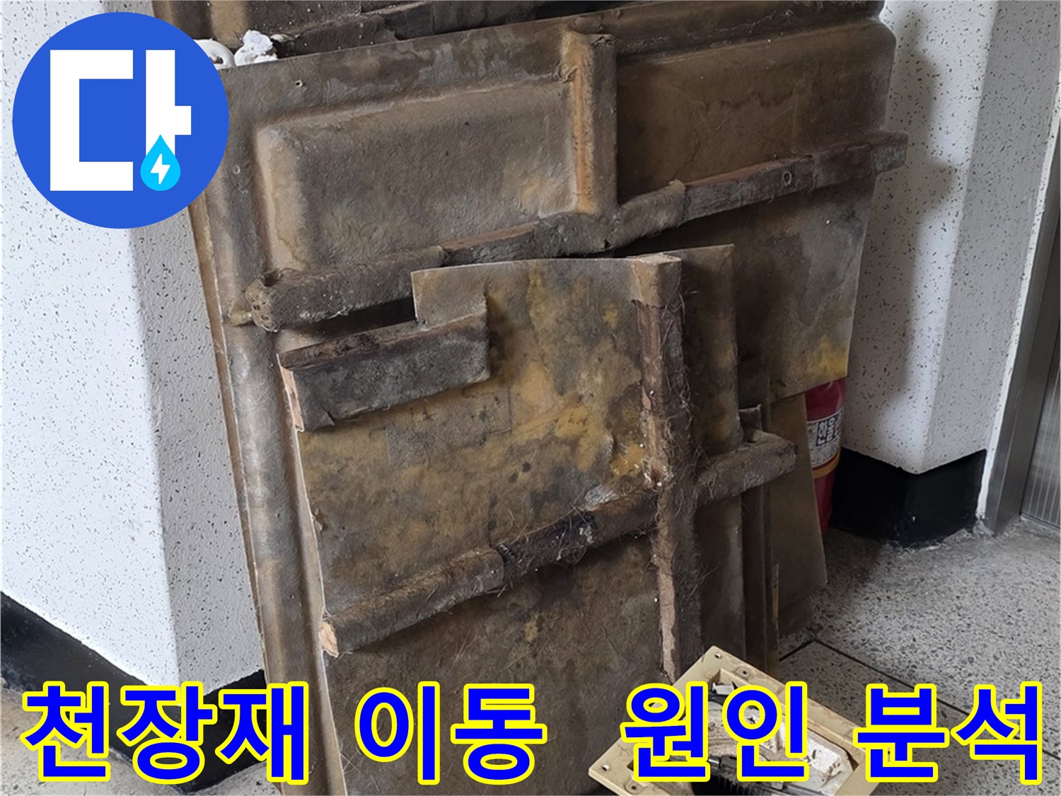 천장재와 조명 옆으로 밀고 누수 원인 집중 분석!