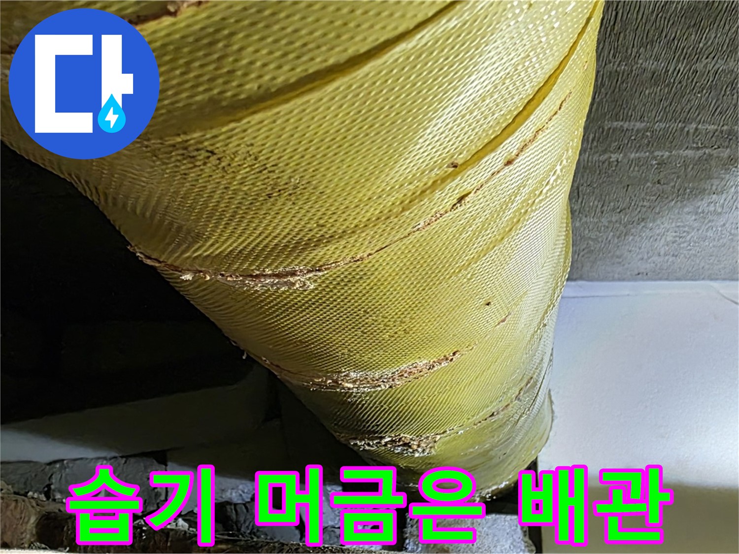 습기 머금은 배관 - 곰팡이 발생 - 누수 위험 증가