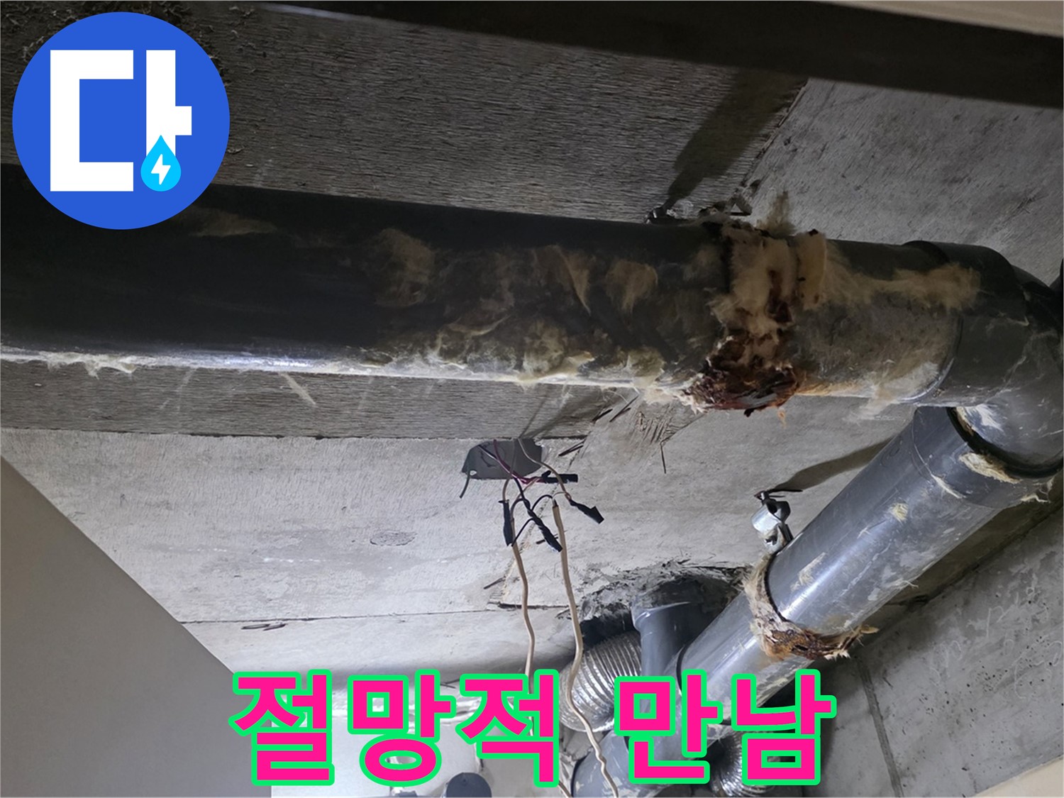 신사동 12번지 - 곰팡이 핀 보온재, 낡은 배관의 절망적인 만남